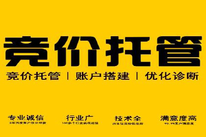 SEM代运营机构成功案例：优化策略与效果分析